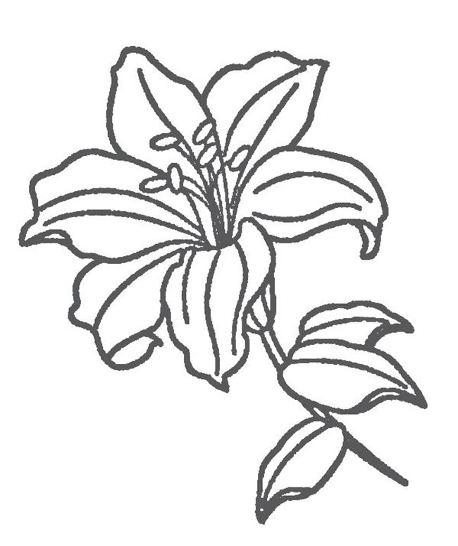 vetor de flores 2