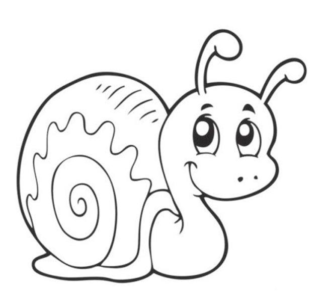vetor para colorir