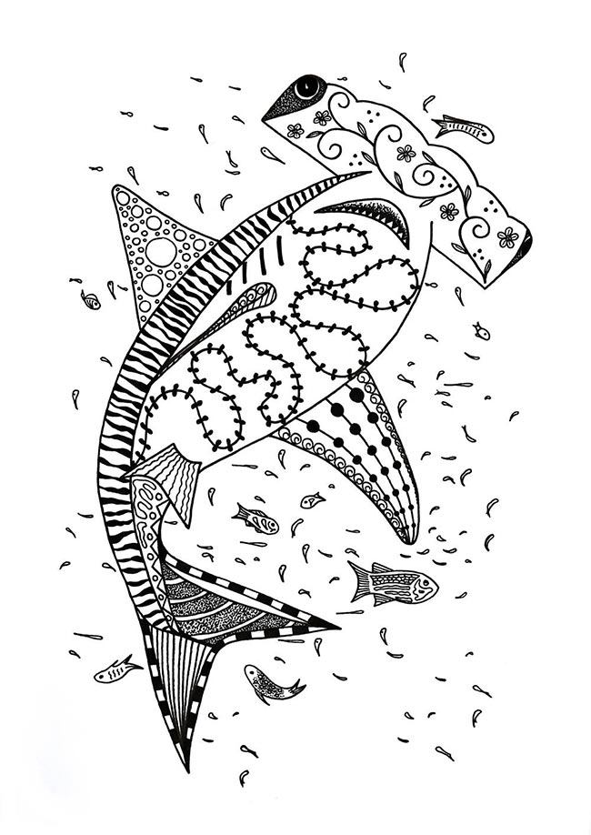 Tubarao Martelo 2 2