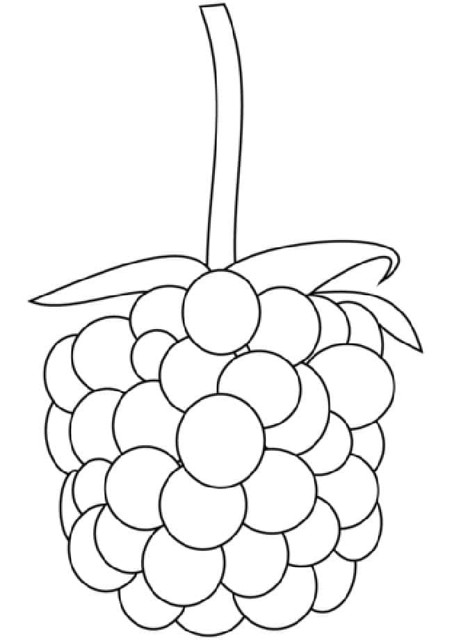 atividades de frutas 2