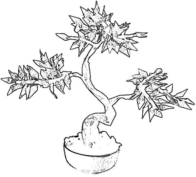 atividades de plantas