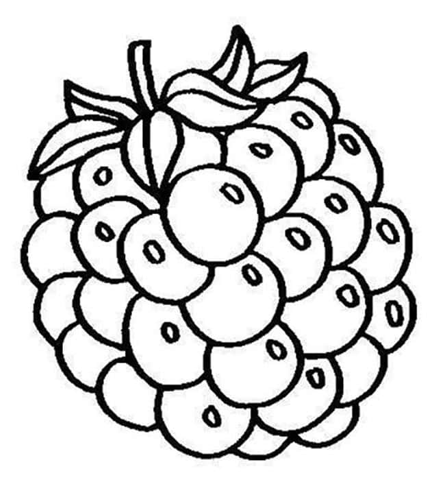 desenhos de amora para imprimir 2