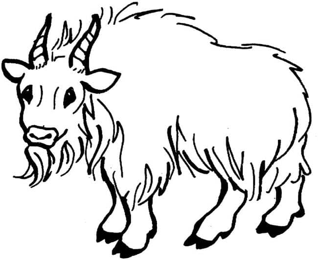 desenhos de animais 4 desenhos de animais 4