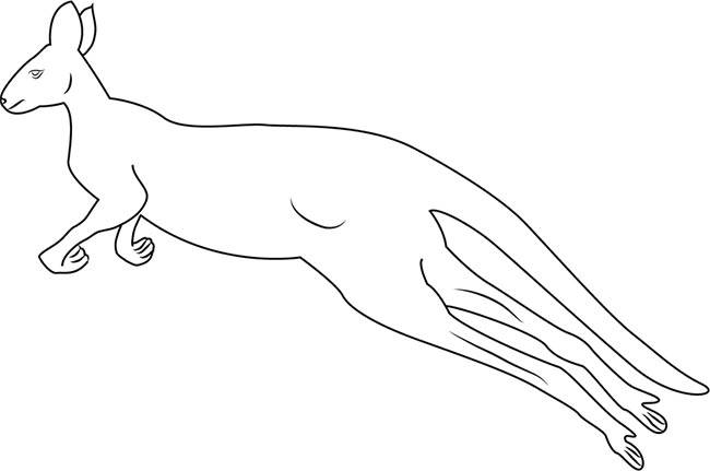 desenhos de canguru para pintar 2