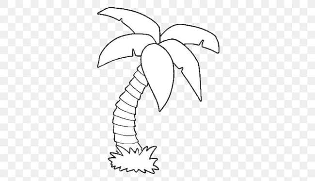 desenhos de palmeira para colorir 2