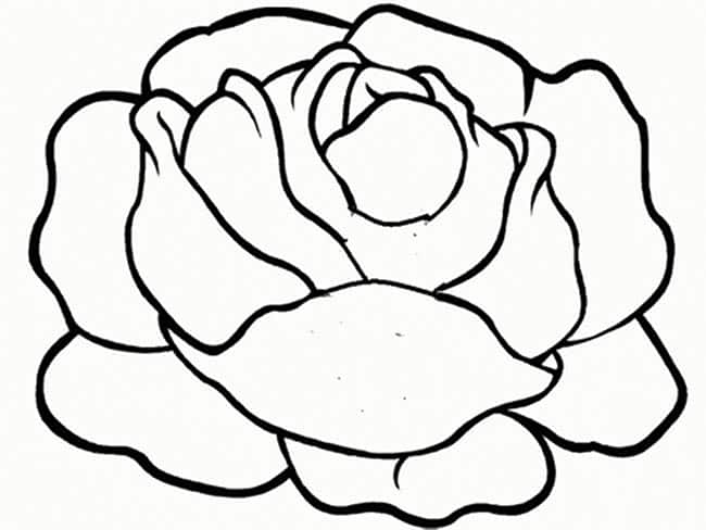 desenhos de repolho para colorir 2