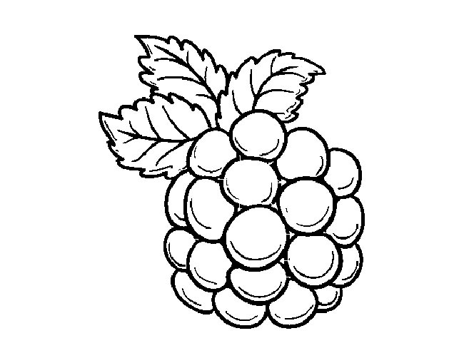 desenhos infantis de frutas 2