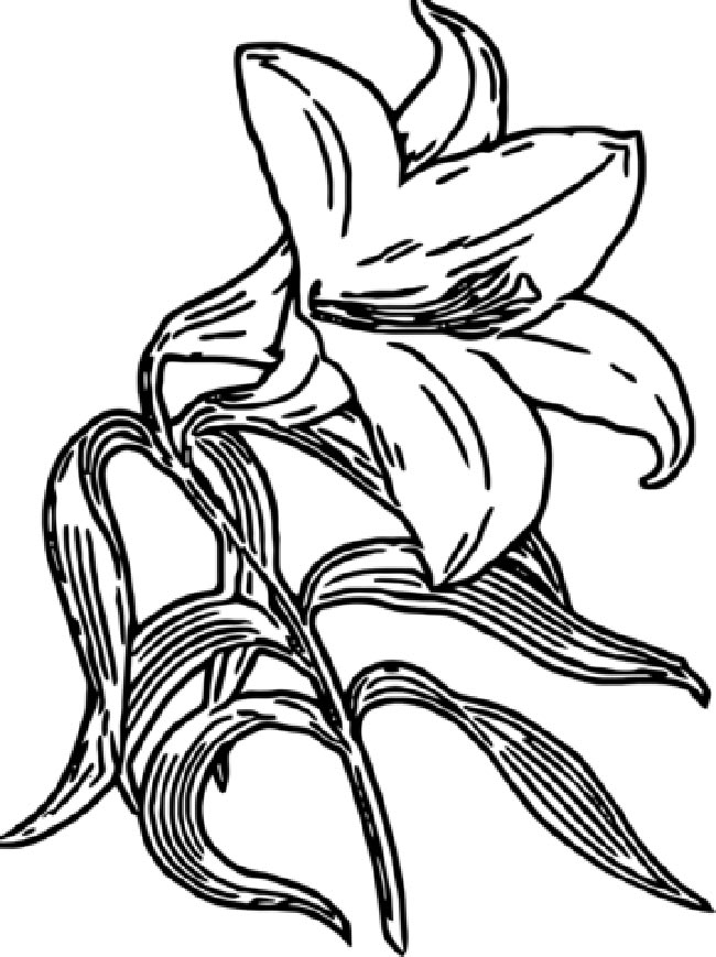 flor unica 2