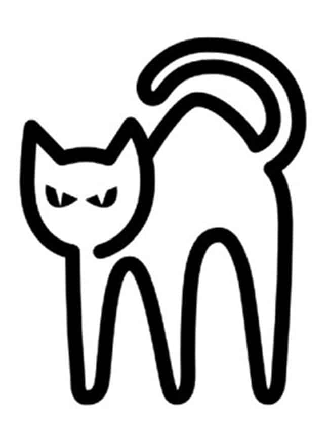 gato preto 5 2 gato preto 5 2