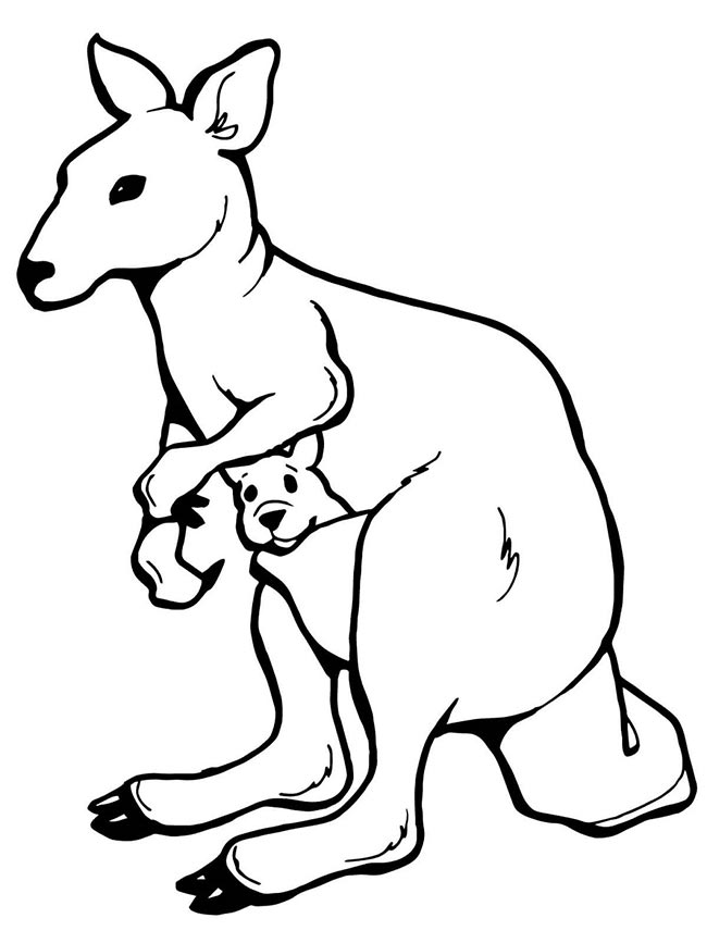 modelos de canguru para colorir 2