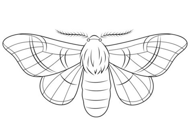molde de mariposa para pintar 1