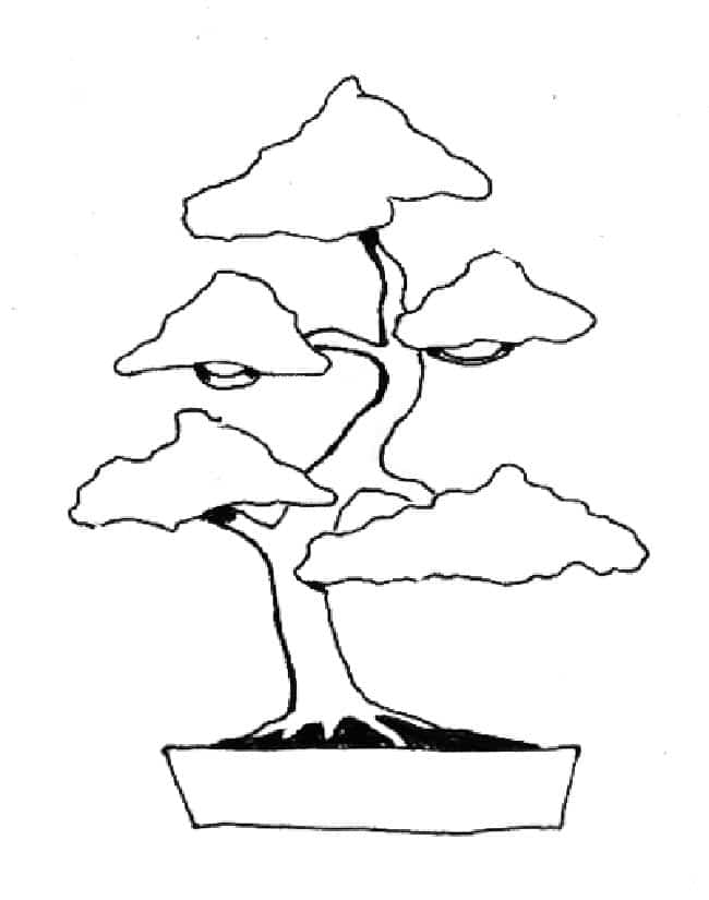 moldes de Bonsai para impressao