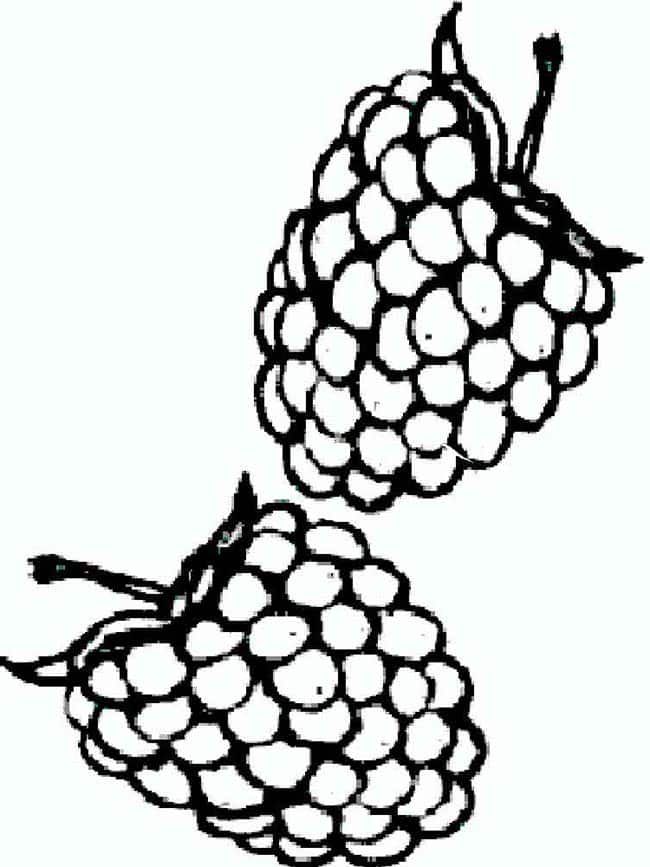 moldes de frutos 2