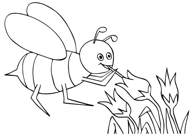 polinizacao polinizacao