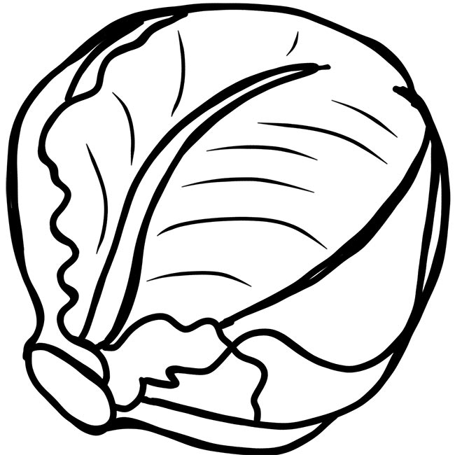 27-desenhos-de-repolho-para-imprimir-e-colorir-pintar
