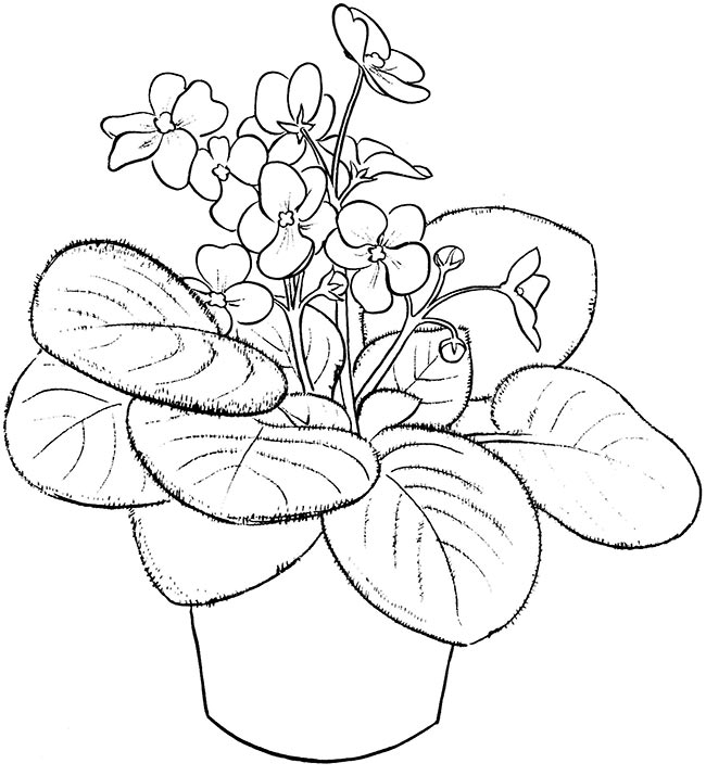 vaso de flores 2
