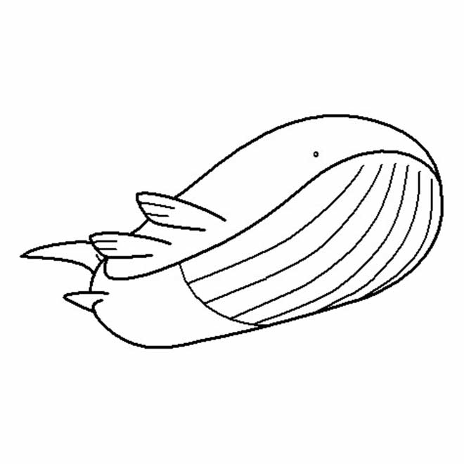 11+ Desenhos do Pokémon Wailord para Imprimir e Colorir/Pintar