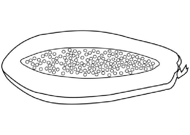 desenhos de Mamao para colorir 1
