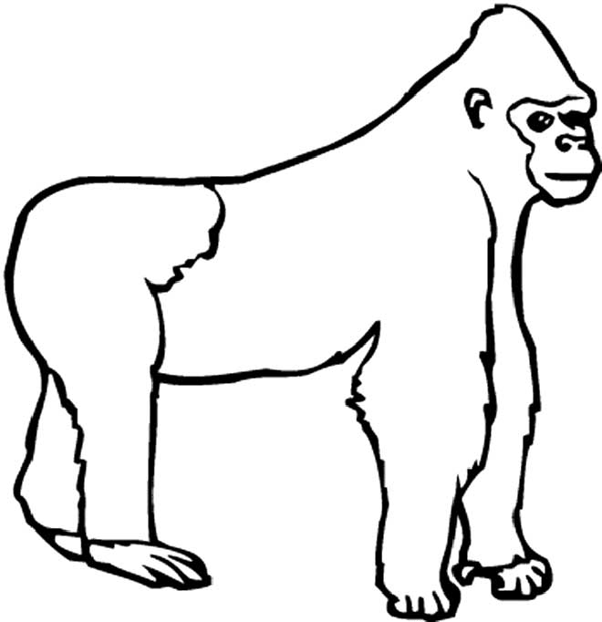 desenhos de gorila para pintar