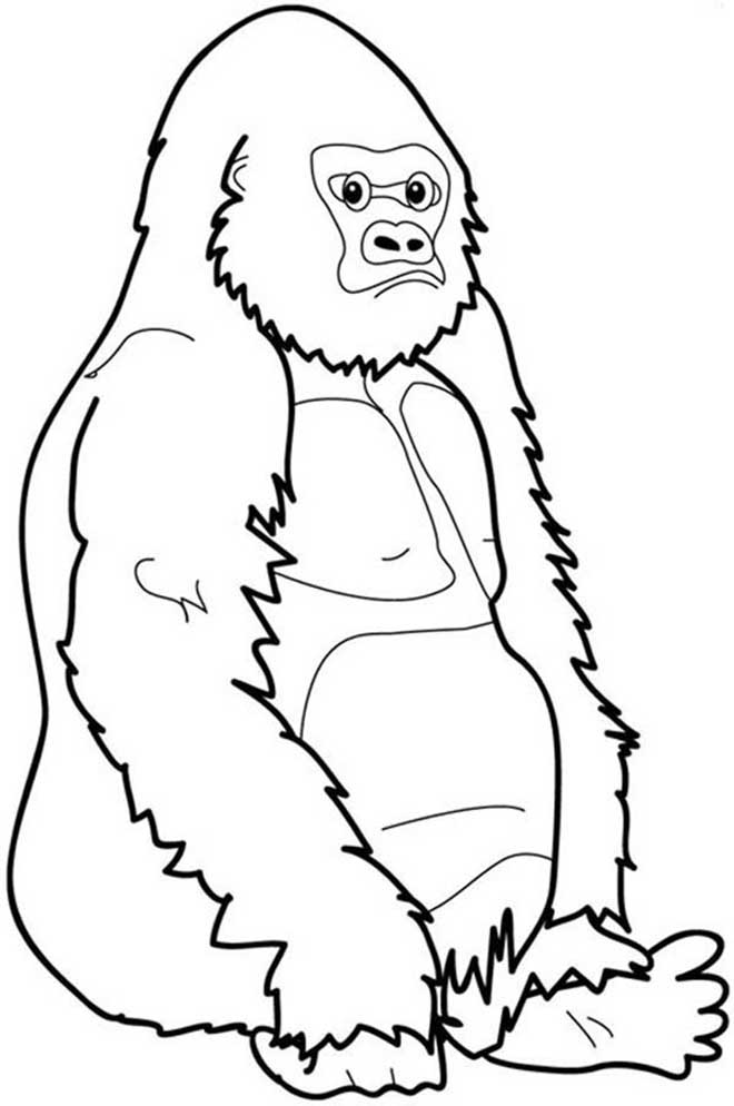 gorila para colorir 5