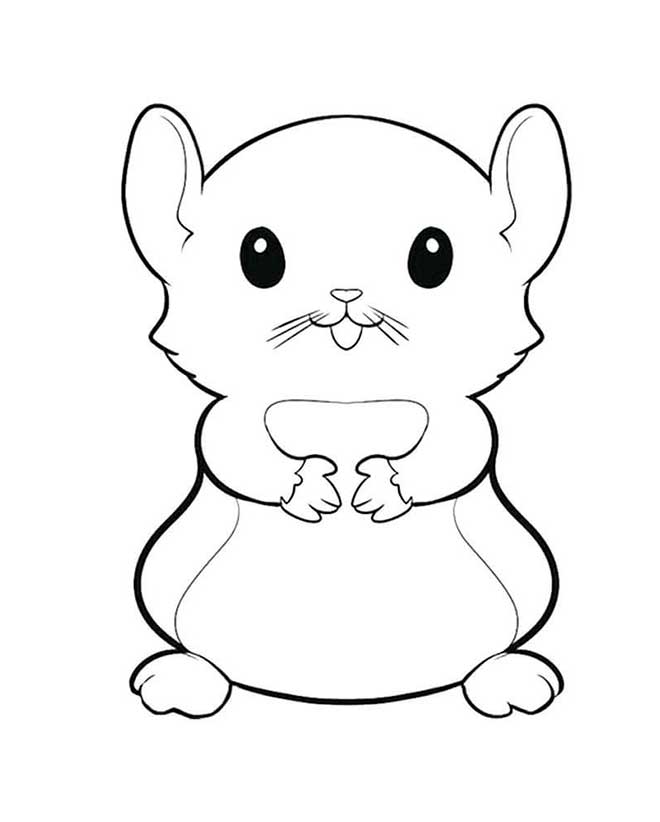 35+ Desenhos de Hamster para Imprimir e Colorir/Pintar