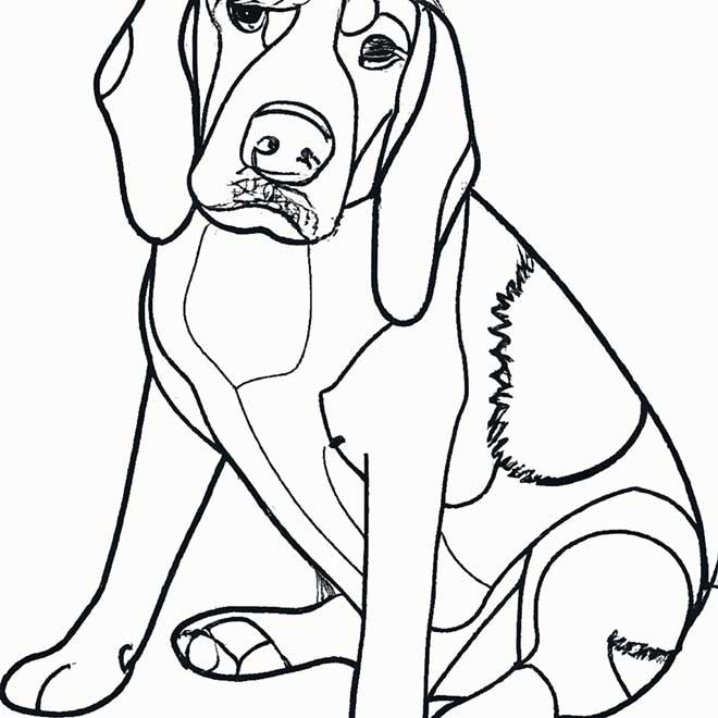 atividades Beagle 3216673 atividades Beagle 3216673