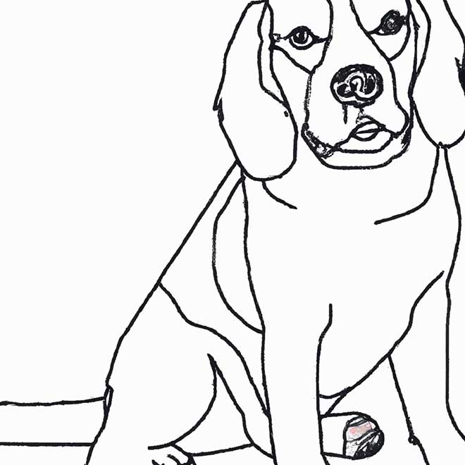atividades Beagle 4222409 atividades Beagle 4222409