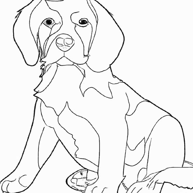 atividades Beagle 6244901 atividades Beagle 6244901