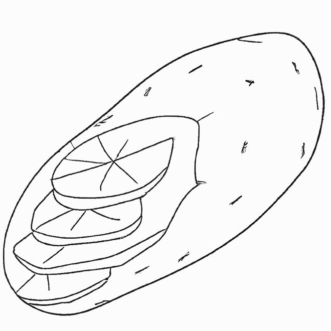 atividades batata doce 1741301 atividades batata doce 1741301