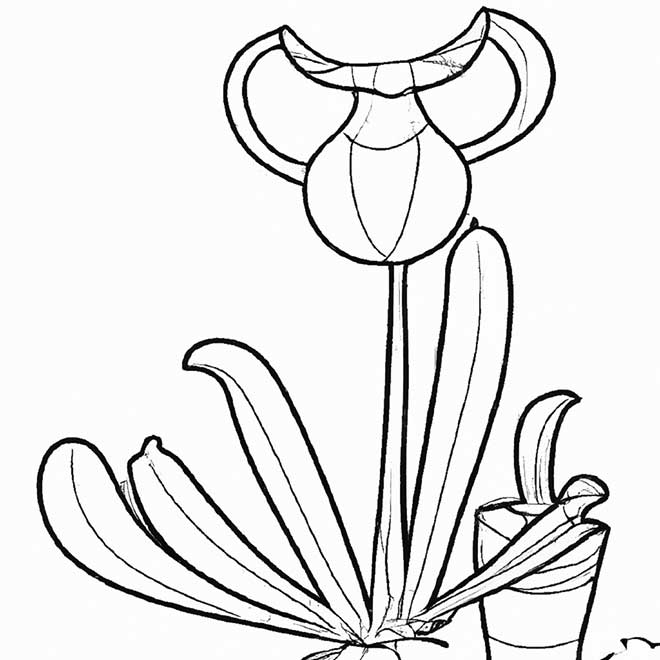 atividades plantas carnivoras 7004576 2