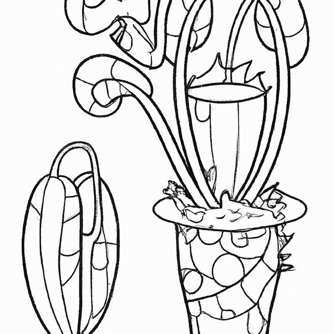 colorir planta carnivora 2908226 2
