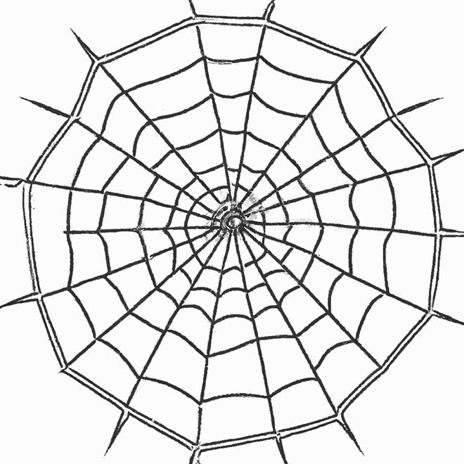 colorir teia de aranha 1351562 colorir teia de aranha 1351562