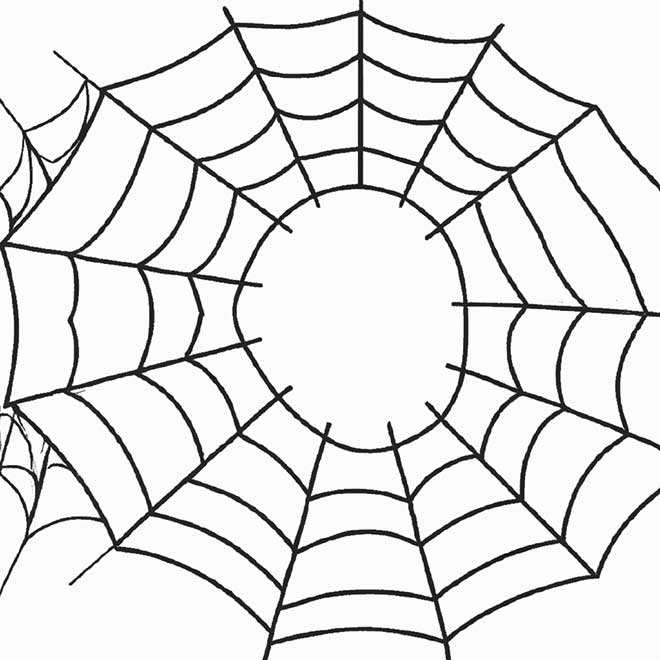 colorir teia de aranha 2045510 colorir teia de aranha 2045510