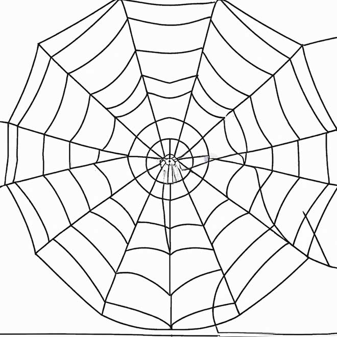 colorir teia de aranha 2599032 colorir teia de aranha 2599032