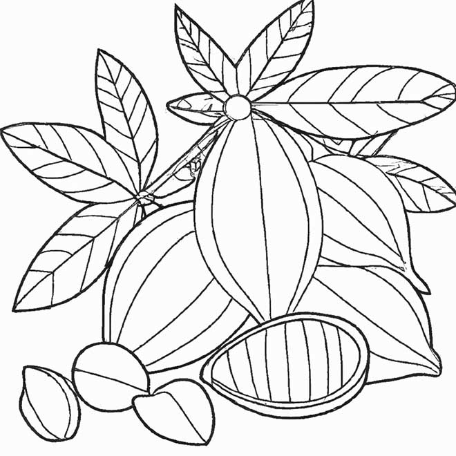 desenhos cupuacu 4546737 2 desenhos cupuacu 4546737 2