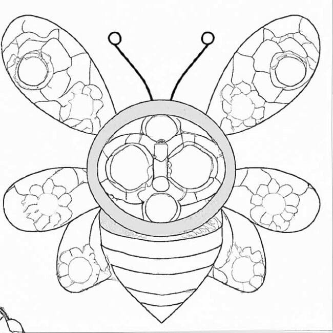 desenhos de insetos 4