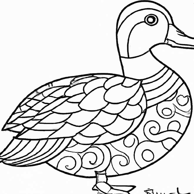 desenhos marreco 2336758 1