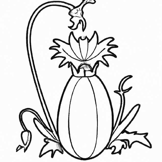 desenhos plantas carnivoras 7594636 2