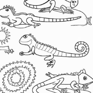 40+ Desenhos de Animais Répteis para Imprimir e Colorir/Pintar