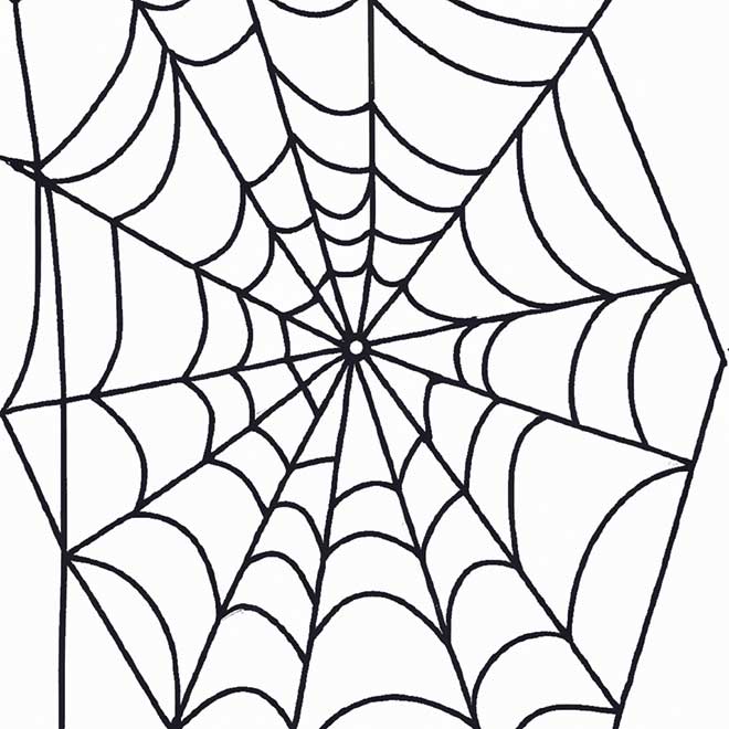 desenhos teias de aranha 7784910 desenhos teias de aranha 7784910