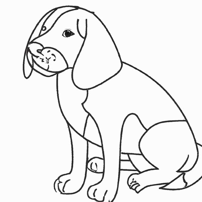 pintar Beagle 54222 2 pintar Beagle 54222 2