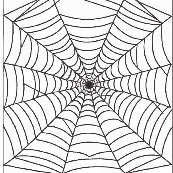 teia de aranha 274604 teia de aranha 274604