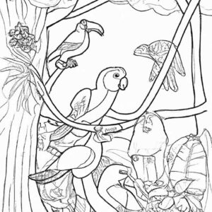 40+ Desenhos de Animais da Amazônia para Imprimir e Colorir/Pintar