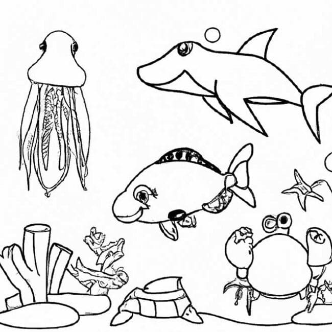 animais marinhos 2640748 scaled