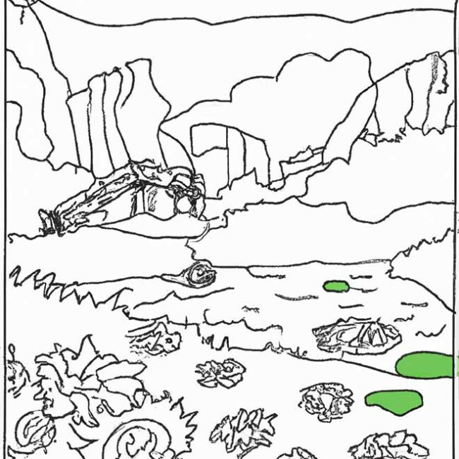 colorir pintura monet 5695625 scaled