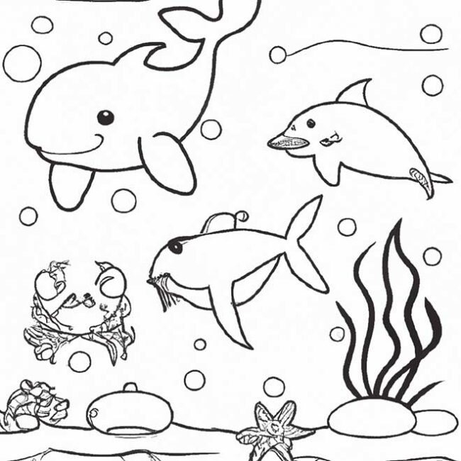 40+ Desenhos de Animais do Mar para Imprimir e Colorir/Pintar