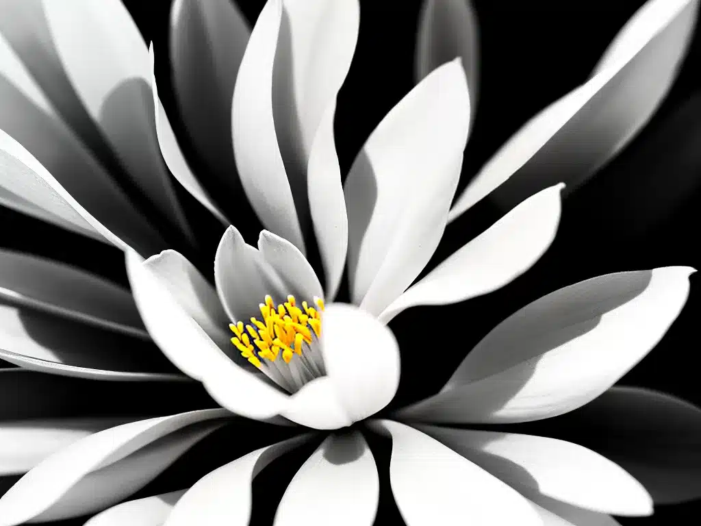 Fotos magnolia blog tema